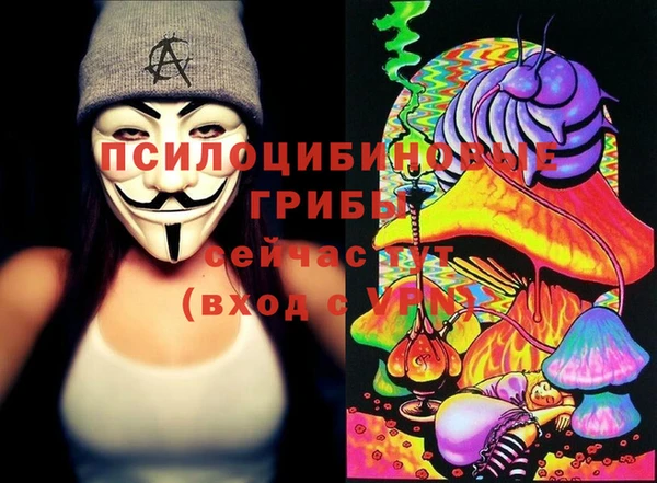 прущие грибы Вязьма